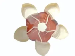 Festo Gift Box.webp