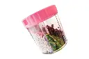 6 in 1 jar.webp